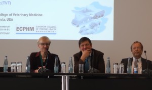 Skepsis auf dem Podium der Ethik-Diskussion: Dr. Inge Böhne (bpt), Prof. Peter Kunzmann (Tiho) und Prof. Thomas Blaha (TVT/BTK).