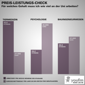Infografik – Stundenzahl Tiermedizinstudium vs. Gehalt
