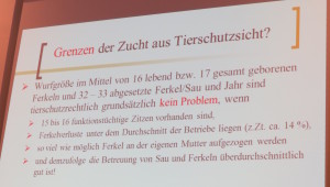 "33 abgesetzte Ferkel/Jahr sind kein Problem aus Tierschutzsicht."