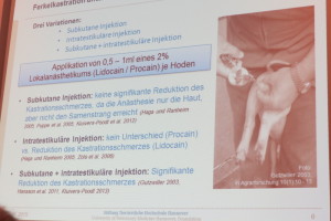 Drei Möglichkeiten der Lokalanästhesie. Nur Procain wirkt.