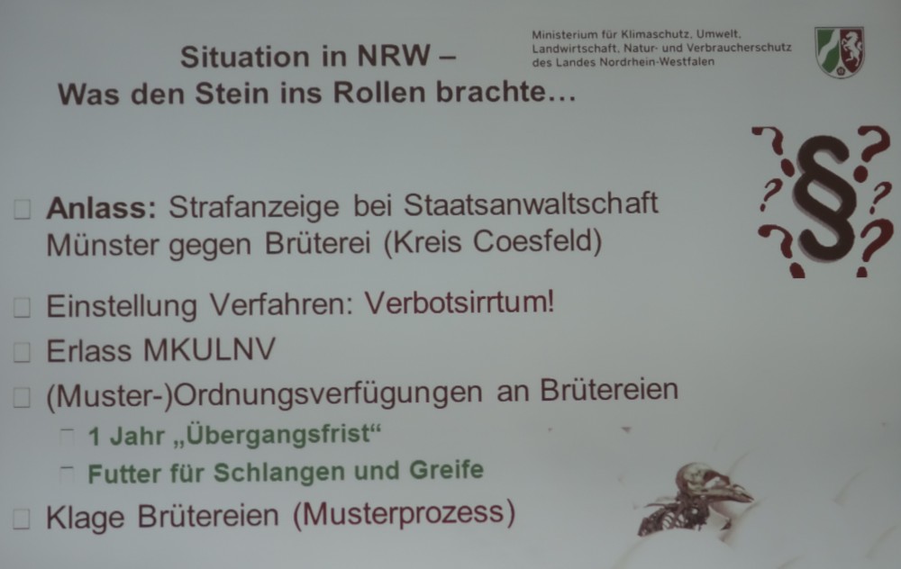 Ein Musterprozess zur Klärung der Eintagskükenfrage – war dass das Ziel des Tötungsverbotes in NRW? Politische klang es anders, aber auch die Grünen wissen um die Realitäten.