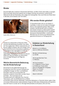 Wie viele Rinder sind in Deutschland noch in den Ställen angebunden? Die Aussagen der Bundesregierung sind nicht eindeutig.