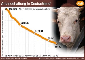 Die Zahl der Anbindehaltungen sinkt stetig – vor allem durch Aufgabe der beteiligten Betriebe.