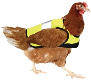 Die Zubehörindustrie hat bereits reagiert und bietet DIN-konforme-Warnwesten für Hühner an (©omletshop.de)