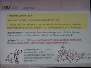 Tierhalterpflichten laut Tierschutzgesetz. (© Döring/LMU-münchen/Vortrag Bay. Tierärztetage 2015)