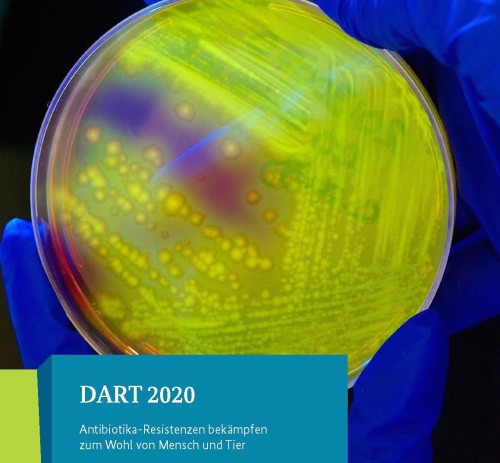 Will den Antibiotikaeinsatz der Tierärzte untereinander vergleichen – die Deutsche Antibiotikaresistenzstrategie 2020. (Foto: © BMEL/James Gathany)