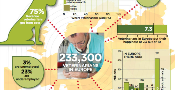 Europas Tierärzteschaft in Zahlen – FVE-Grafik. (© FVE)