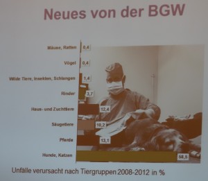 BGW Unfallzahlen nach Tierarten 2008 bis 2012. (Foto: ©Vortrag Dr. Marken/BGW – BTK Delegiertenversammlung 3/2015)