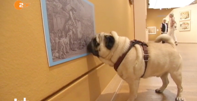 Kunst auf den Hund gekommen – Video von heute+ (©screenshot ZDF)