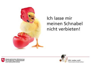Kampagnenmotiv "Schnabelkürzen" aus dem Niedersächsischen Tierschutzplan. (© Landwirtschaftsministerium Niedersachsen)
