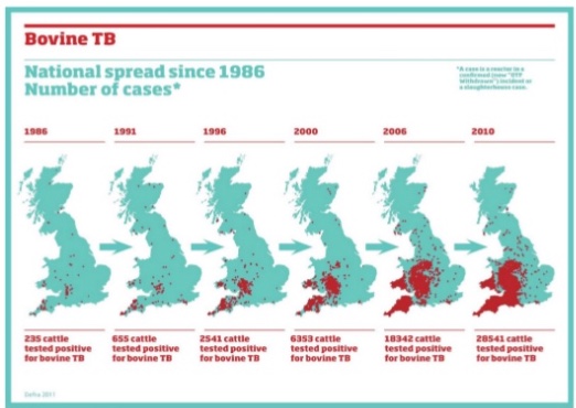 Ausbreitung der Rinder-Tbc in Großbritannien von 1986 bis 2010- (Quelle/© BVA-Präsentation)