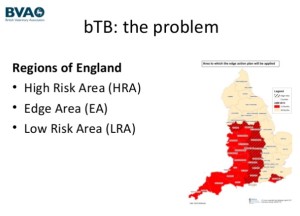 Rinder-Tbc-Risikogebiete in Großbritannien: rot = Hoch-Risiko-Gebiete / straffiert = Randgebiete / gelb = Niedrig-Risiko-Gebiete. (Quelle/© BVA-Präsentation)