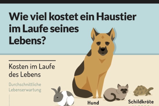 Ist viel es. Haustier картинки. Viel viel разница. /H-Pet-Ch-1-3-ein-eigenartiges-Haustier-kap на русском. Haustiere in Deutschland 14 упражнение.