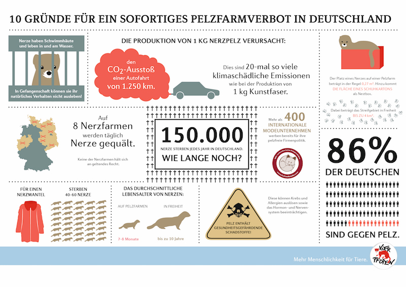 Diese Günde sprächen gegen eine Pelztierhaltung – ©Infografik der Tierschutzorganisation VIER PfOTEN