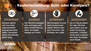 Notfals anzünden – nur nicht im Laden. Wie man Kunstpelz von echtem Pelz unterscheidet. (Grafik: ©WiSo/ZDF)
