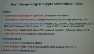 Eine ganze Reihe "exotischer" Mückenarten sind bereits in Europa heimisch. (Tabelle: ©BTK/FLI Mettenleitner)
