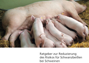 Titelseite "Ratgeber Schwanzbeissen" Niedersachsen. (Foto: © Landwirtschaftsministerium Niedersachsen/Fotolia-anoli)