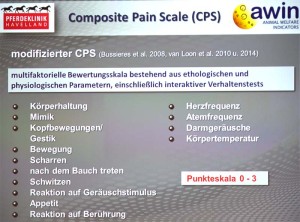 Composite Pain Scale