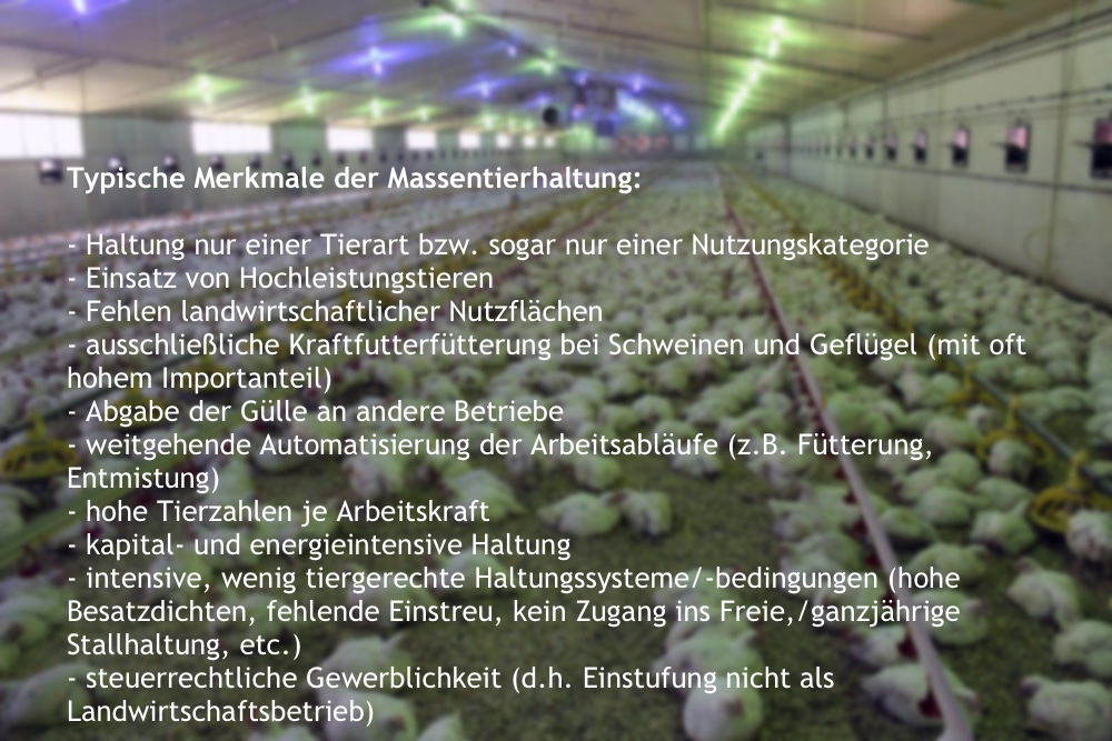 "Typisierung" der "Massentierhaltung" nach Hörning (2013). (Foto: ©bigdutchman/Montage WiSiTiA/jh)