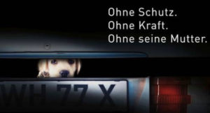 Kampagnenmotiv "illegaler Welpenhandel" Deutscher Tierschutzbund