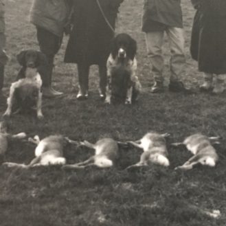 Gefährdet sind vor allem Jäger, Landwirte und Tierärzte. (Bild: Archiv Henrik Hofmann)