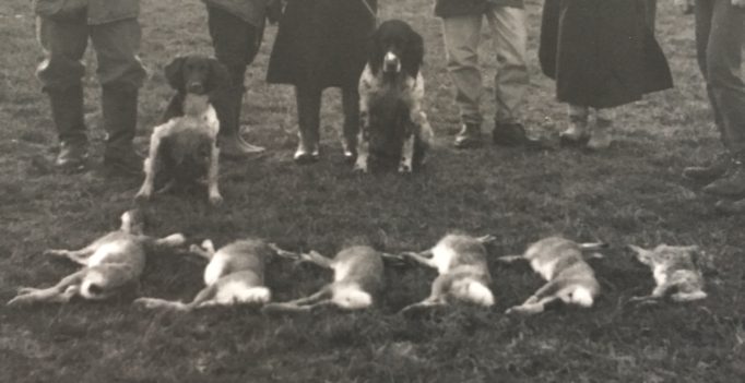 Gefährdet sind vor allem Jäger, Landwirte und Tierärzte. (Bild: Archiv Henrik Hofmann)