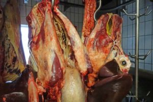 BSE-Testpflicht ist seit letztem Jahr aufgehoben. Doch "Sicherheitsmaßnahmen" gelten auch weiterhin - selbst bei Fleisch aus Mitgliedsstaaten mit "vernachlässigterem Risiko". (Bild: wisitia/hh)