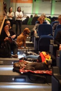 Treppenleben mit Hund: Der erfahrene Kongressbesucher bringt ein paar Hundekettchen mit.