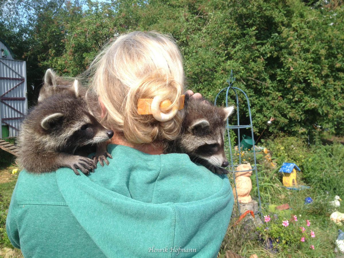 Tierheime sind bereit, investive Arten aufzunehmen.