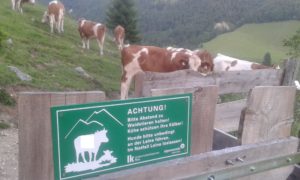 Warnhinweis an beweideter Alm