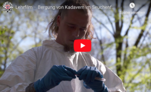 Schweinepest: Lehrfilm zum Bergen von Kadavern im Wald