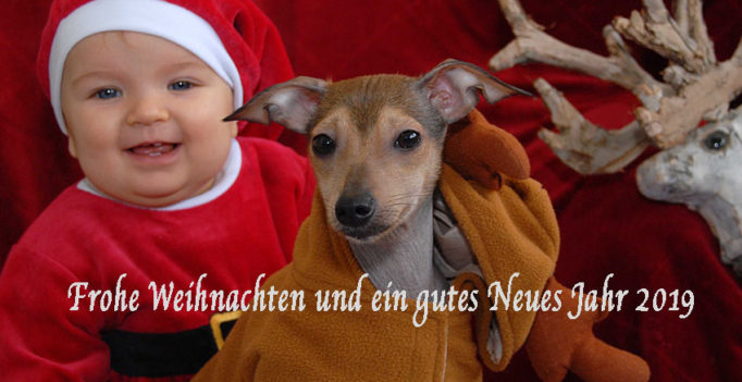 Frohe Weihnachten und ein gutes Neues Jahr wünscht das Team von wir-sind-tierarzt.de (Bild: (c)2018 Dr. Henrik Hofmann)