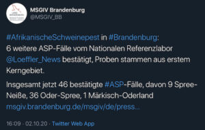 Tweet MSGIV bestätigt 6 neue / 46-ASP-Fälle insgesamt
