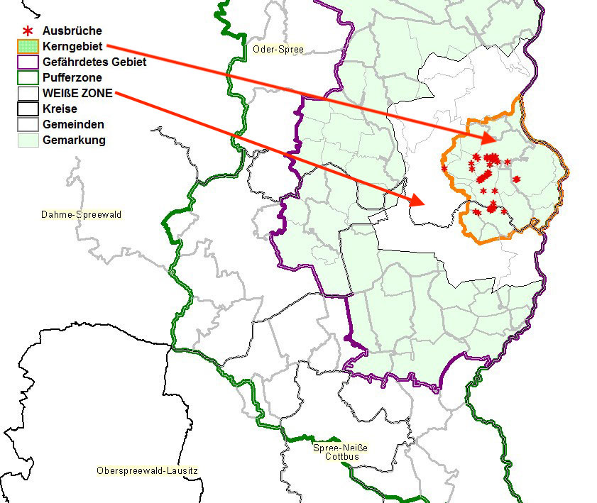 Karte des ersten ASP-Kerngebietes in Brandenburg mit der eingezeichneten "Weiße Zone"