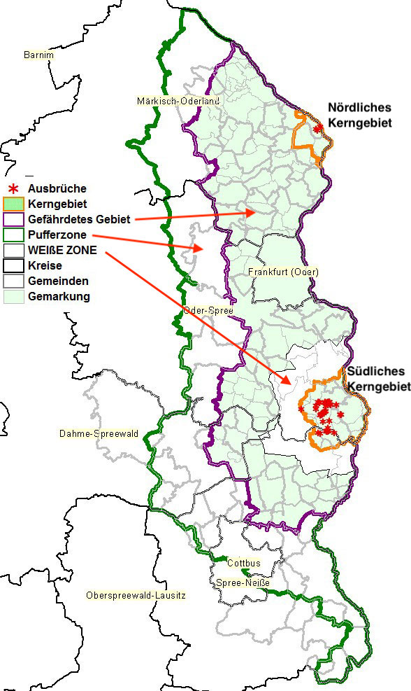 Karte des ASP-Gebietes an der deutsch-polnischen Grenze mit den verschiedenen Sperrzonen. (Karte: MSGIV Brandenburg)