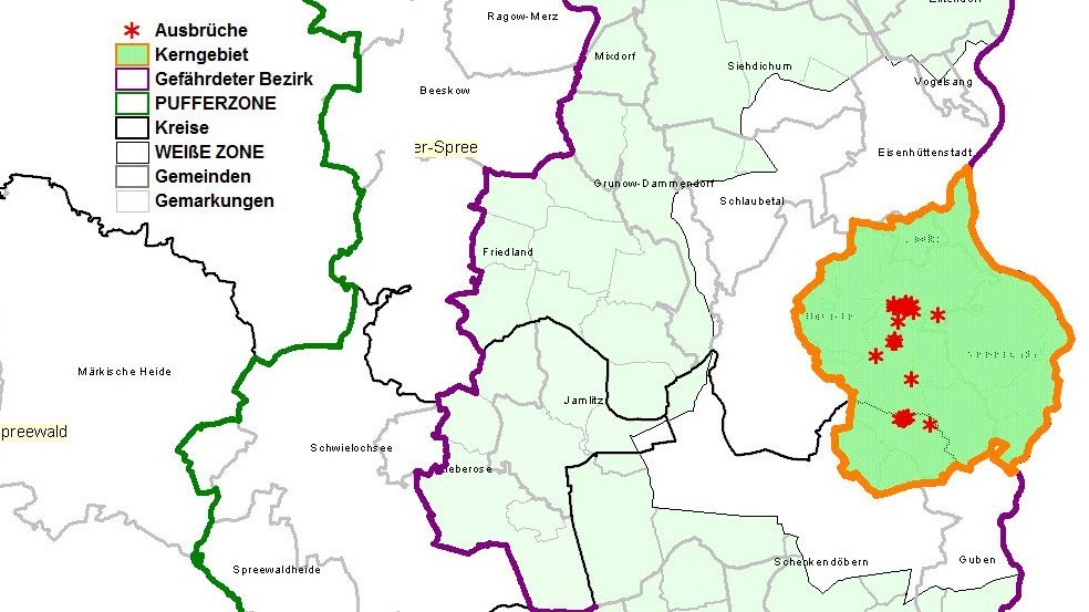 Karte des ersten Ausbruchsortes der Afrikanischen Schweinepest in Deutschland mit den eingezeichneten Restriktionsgebieten: dem Kerngebiet, der Weißen Zone, dem Gefährdeten Bezirk und der Pufferzone.