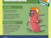 salmonella-offense-team-superbugs